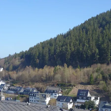 Beautiful In With Balcony * Willingen (Upland)