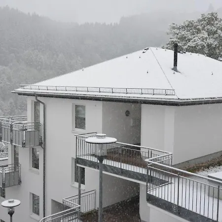 Beautiful In With Balcony * Willingen (Upland)