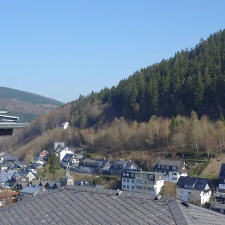 Beautiful In With Balcony Apartment Willingen (Upland)