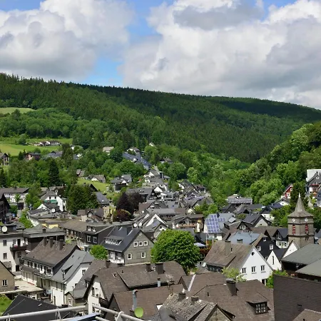 Beautiful In With Balcony * Willingen (Upland)