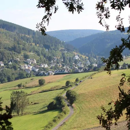 Beautiful In With Balcony Willingen (Upland)