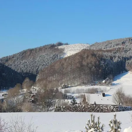 In Mit Balkon * Willingen (Upland)