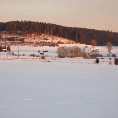 Apartment In Mit Balkon *