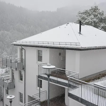 In Mit Balkon Apartmán Willingen (Upland)
