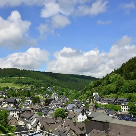 In Mit Balkon Willingen (Upland)