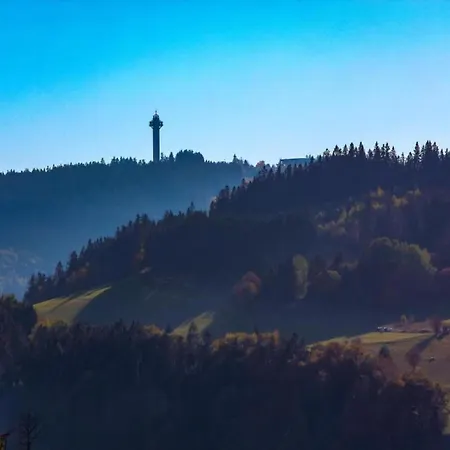 In Mit Balkon * Willingen (Upland)
