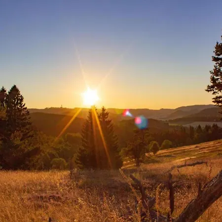 In Mit Balkon Apartment *