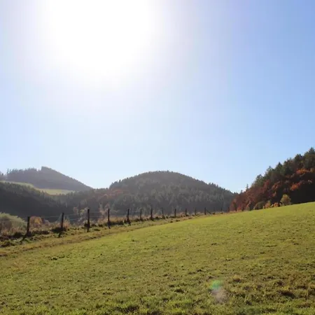In Mit Balkon Apartment Willingen (Upland)