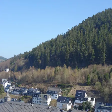 In Mit Balkon Willingen (Upland)