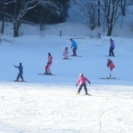 In Mit Balkon Willingen (Upland)