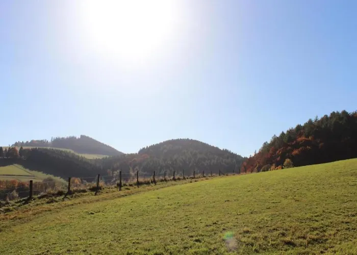 In Mit Balkon Apartamento Willingen (Upland)