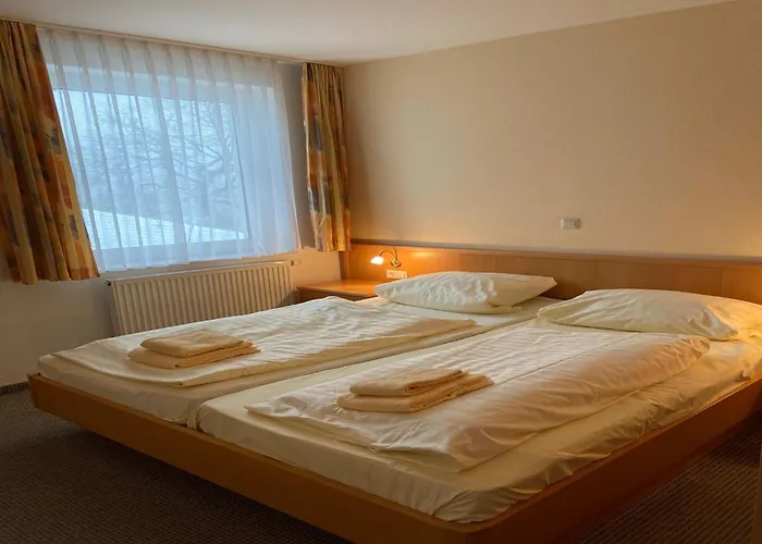 In Mit Balkon Apartamento Willingen (Upland)