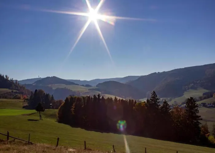 In Mit Balkon Apartamento Willingen (Upland)